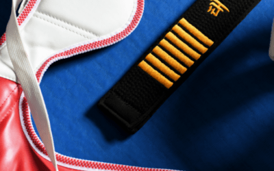 Diferencia entre Taekwondo y Karate